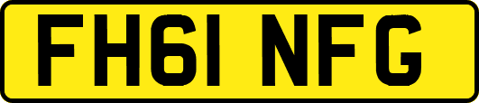 FH61NFG