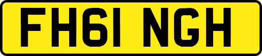 FH61NGH