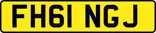 FH61NGJ