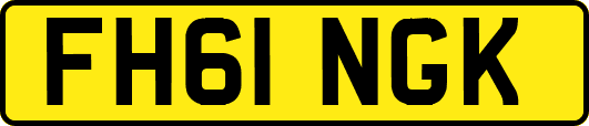 FH61NGK