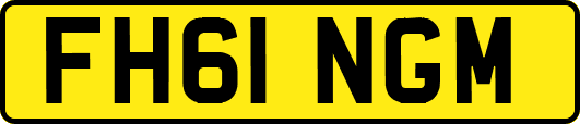 FH61NGM