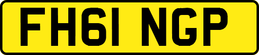 FH61NGP