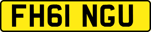 FH61NGU