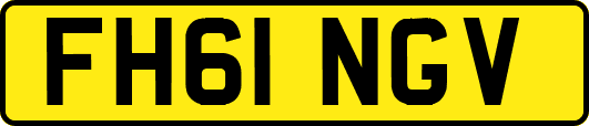 FH61NGV