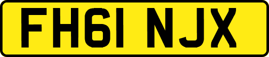 FH61NJX