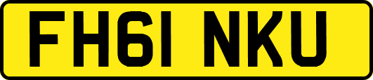 FH61NKU