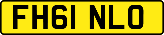 FH61NLO