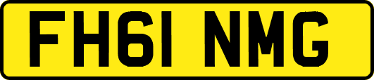 FH61NMG