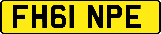 FH61NPE