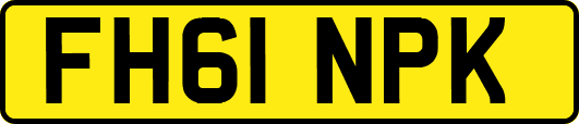 FH61NPK