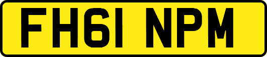 FH61NPM