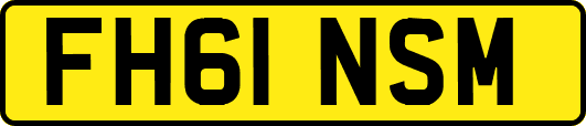 FH61NSM
