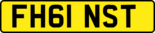 FH61NST