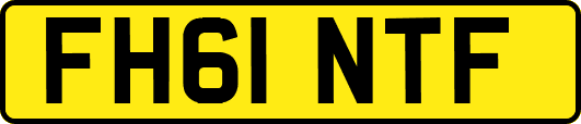 FH61NTF