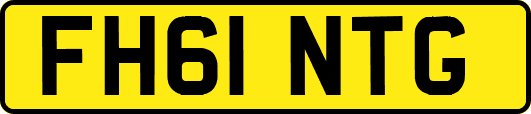 FH61NTG