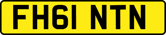 FH61NTN