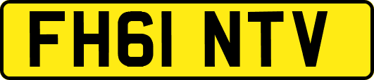FH61NTV