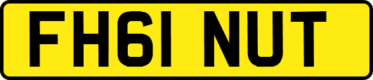FH61NUT