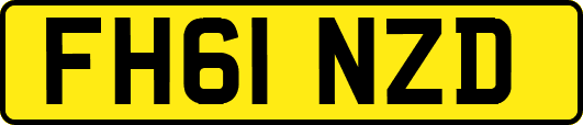 FH61NZD