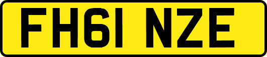 FH61NZE