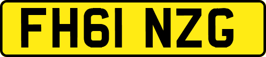 FH61NZG