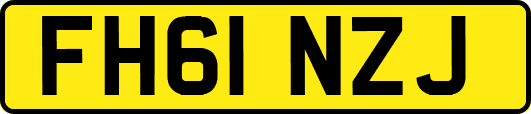 FH61NZJ