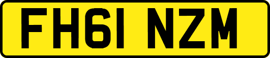 FH61NZM