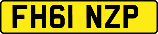 FH61NZP