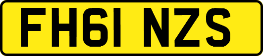 FH61NZS