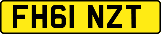 FH61NZT