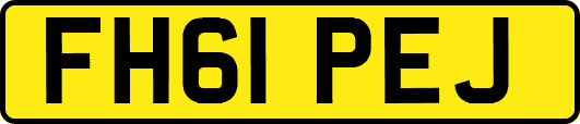 FH61PEJ