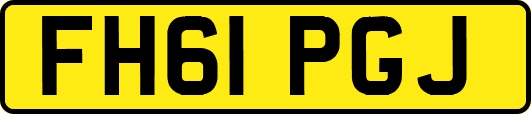 FH61PGJ