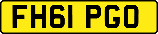 FH61PGO
