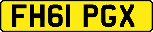 FH61PGX