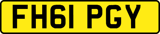 FH61PGY