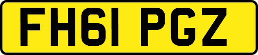 FH61PGZ