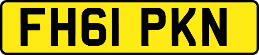 FH61PKN
