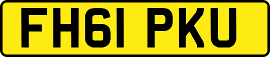 FH61PKU
