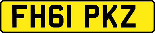 FH61PKZ