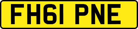 FH61PNE
