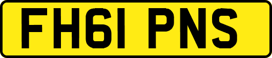 FH61PNS
