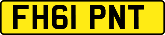 FH61PNT