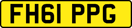 FH61PPG
