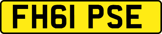 FH61PSE