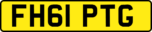 FH61PTG