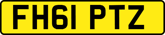 FH61PTZ
