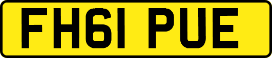 FH61PUE
