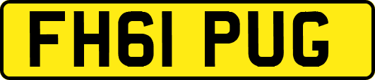 FH61PUG