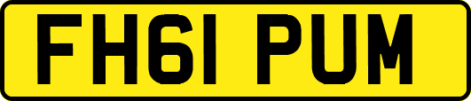 FH61PUM