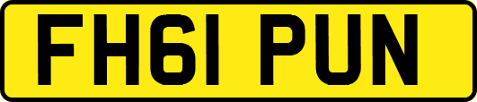 FH61PUN
